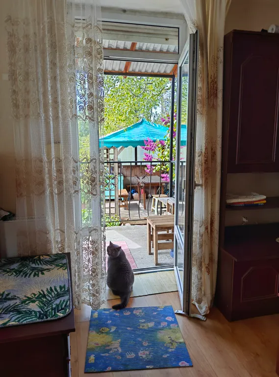 Однокомнатная квартира на Балтийской косе