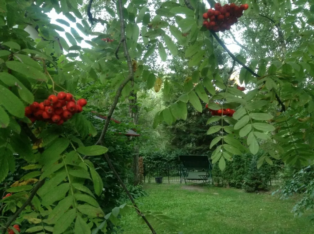 Студия Red в центре у моря