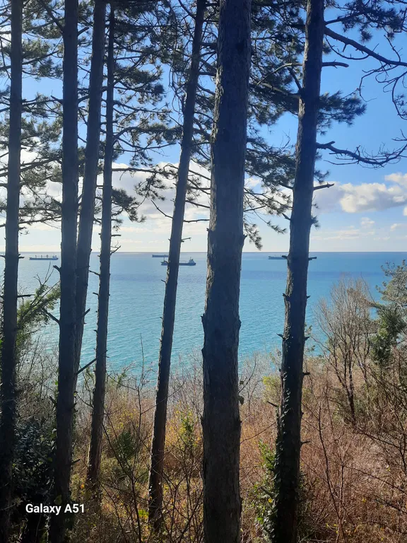 Коттедж Коттедж с видом на море в сосновом лесу — Гизель-Дере