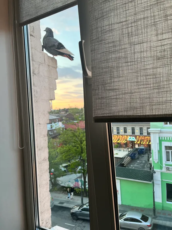 Квартира Уютная квартира в центре города — Владивосток