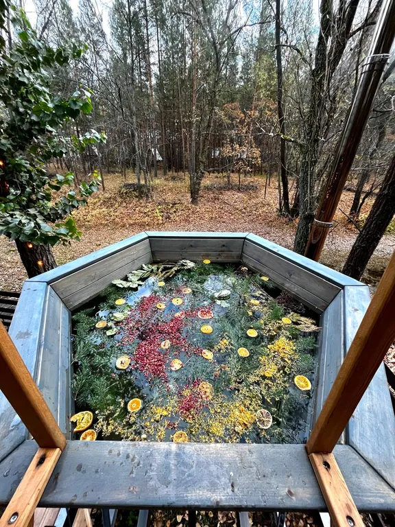 Коттеджи на берегу Волги в сосновом лесу. База отдыха " Хвоя Эко"