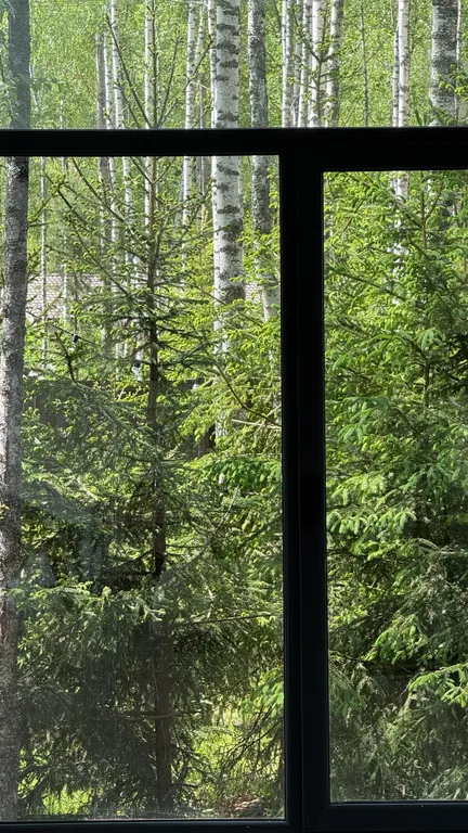 Коттедж Панорамный дом в окружении леса с сауной и чаном — Семеновское