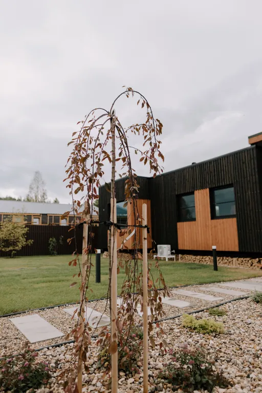 Коттедж Дом у Озера с панорамным видом, баней и чаном — Осташёво