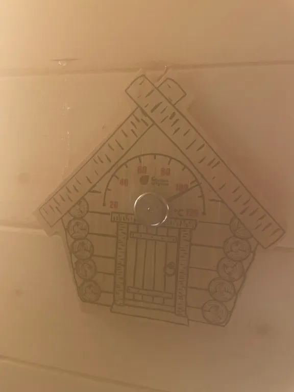 Новый дом с сибирским чаном