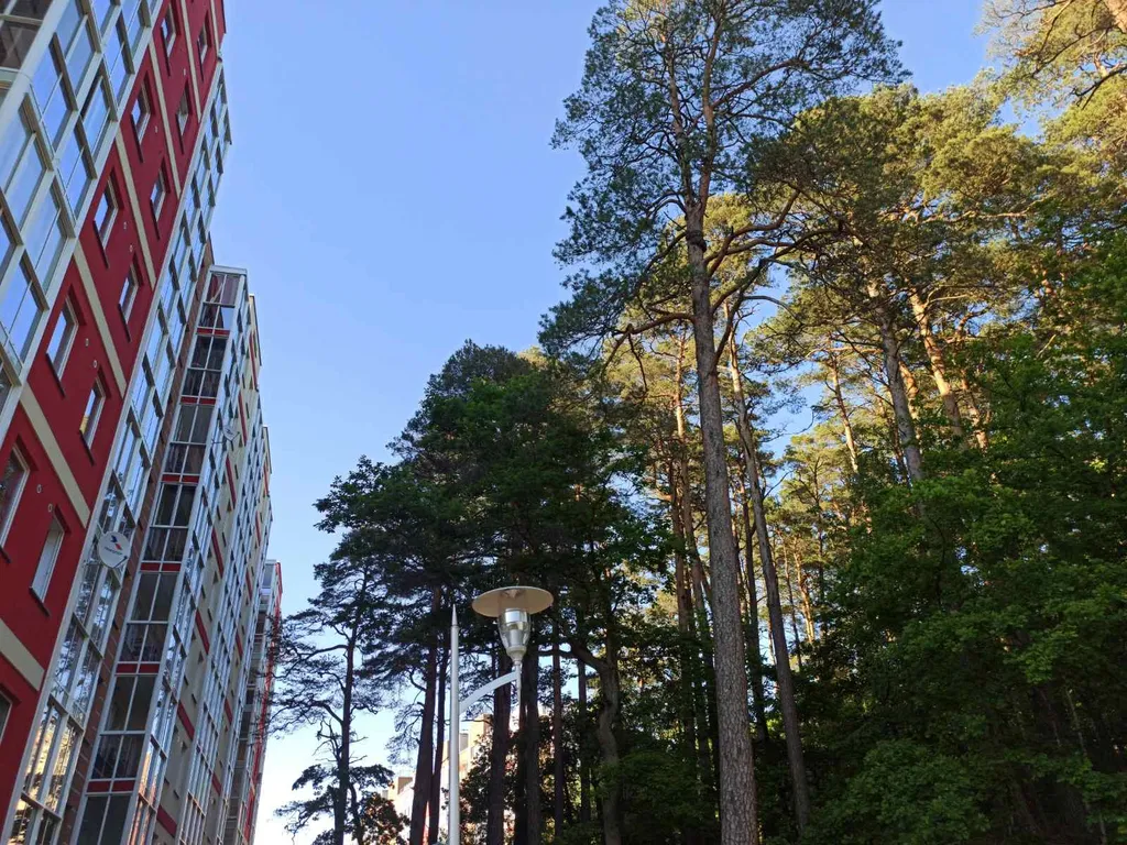 Уютный уголок около лесного озера