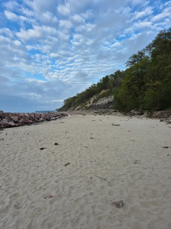 Квартира Новые апартаменты на берегу Балтийского моря в сосновом лесу — Светлогорск