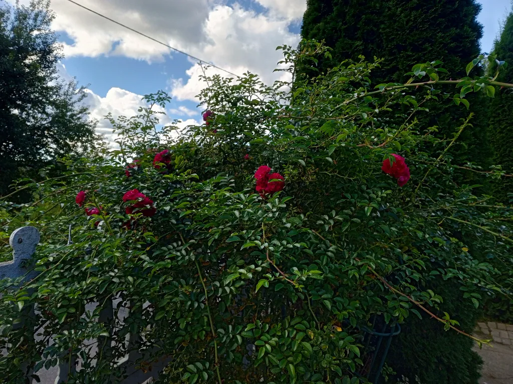 Коттедж Уютный загородный домик, где можно отдохнуть и попариться — Калининград