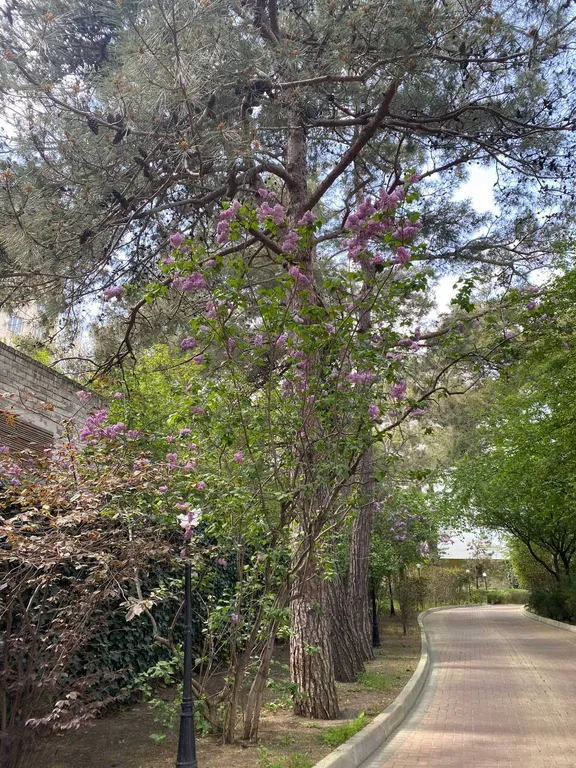 Сады Морей апартаменты у моря