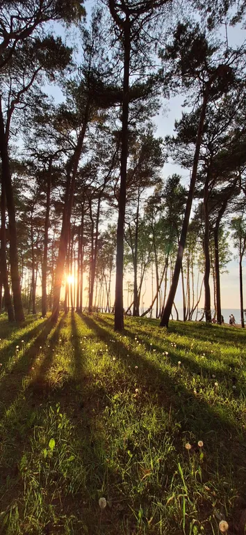 Квартира Квартира у моря — Пионерский