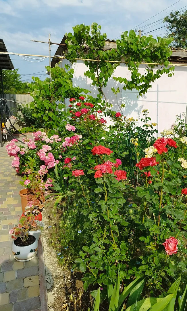 Фото