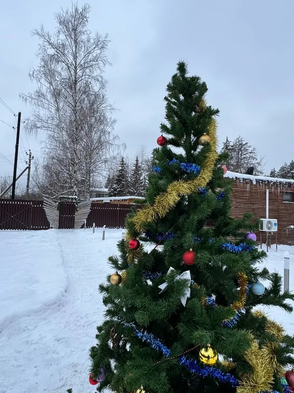 Коттедж Уютный домик в лесу — Новая