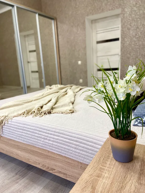 Евродвушка на Ленина 14