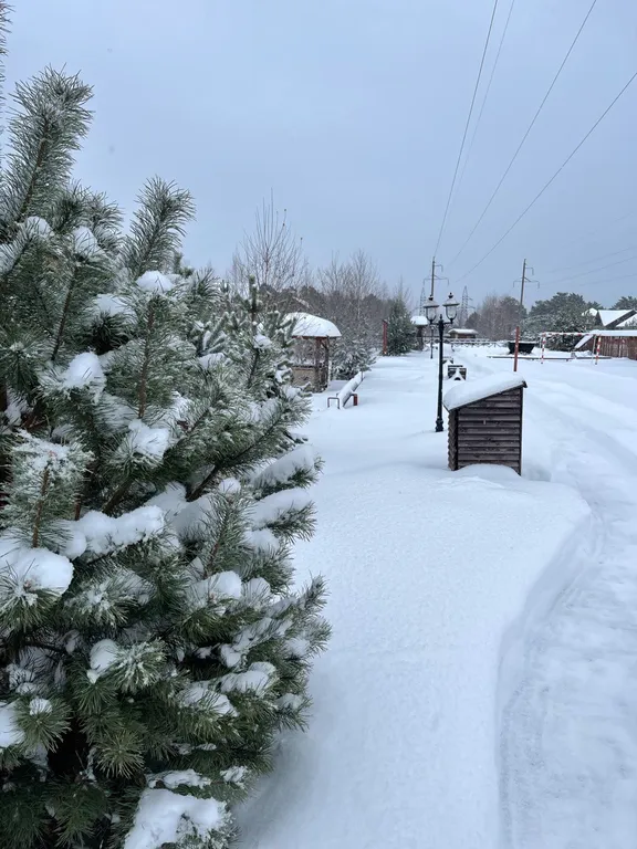 Коттедж с двумя спальнями с беседкой и мангалом