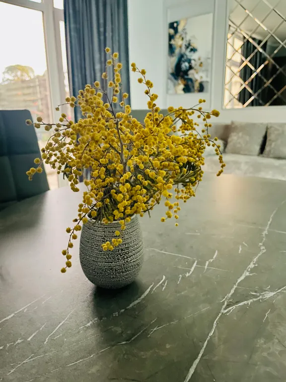 Квартира Квартира Апарт-студио с собственной кухней — Гагра