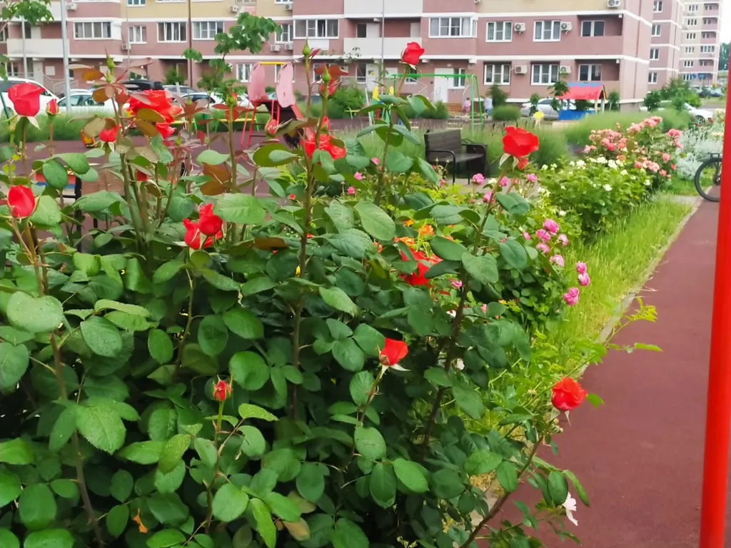 Квартира Квартира у стадиона Краснодар — Краснодар