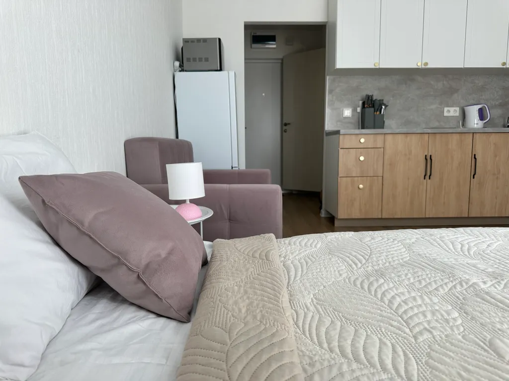 Студия 25 квадратных метров рядом с Аэропортом Внуково