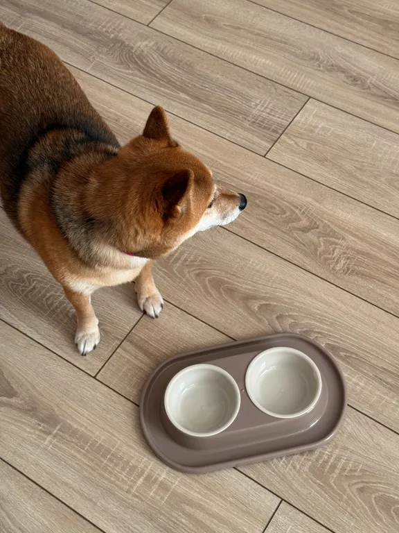 Студия в новом доме