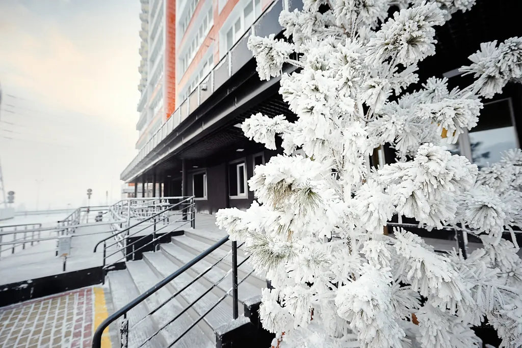 Дизайнерская квартира в ЖК Жемчужина Оби