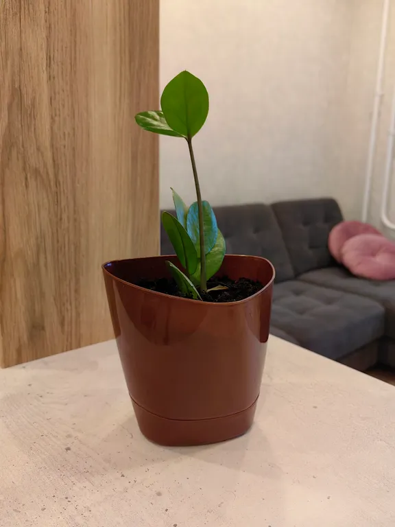 Новая уютная квартира