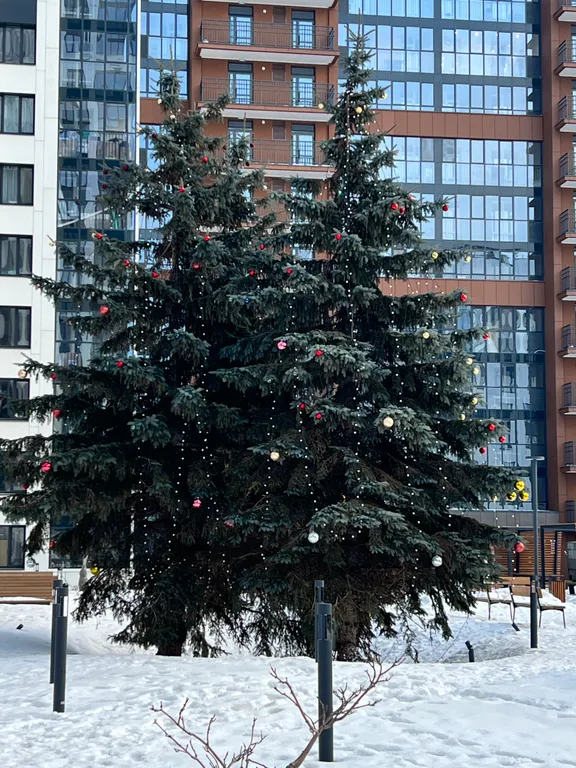 Уютная студия в новом доме