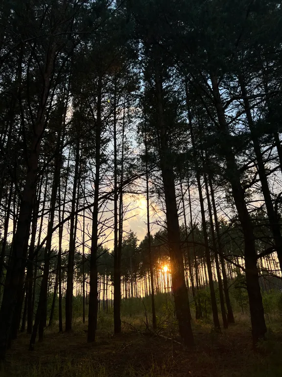 Агроусадьба Пралеска