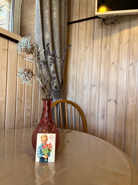 Дом с мангалом и баней