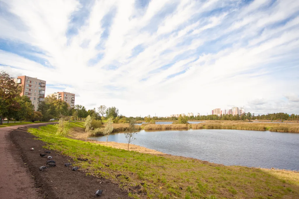 Уютная трехкомнатная квартира NevaBed в Металлострой