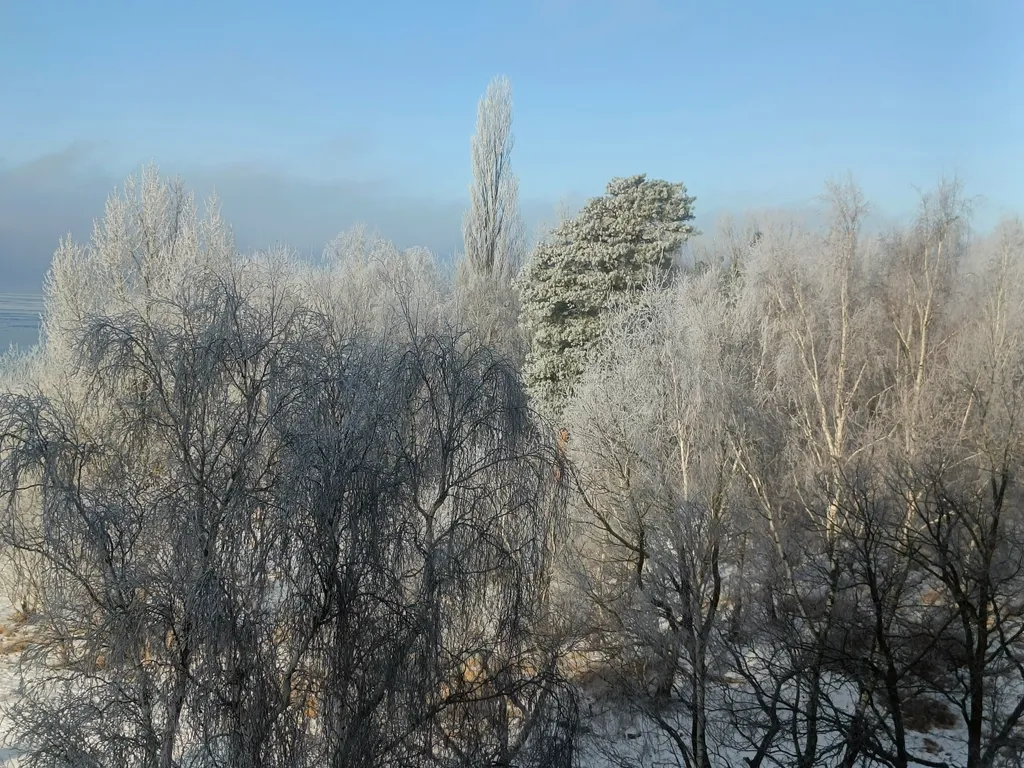 Уютная квартира с видом на Балтийское море