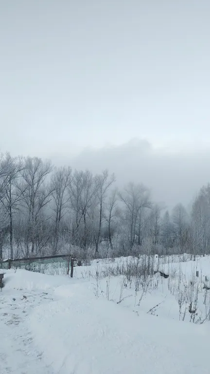 Дом на берегу Катуни