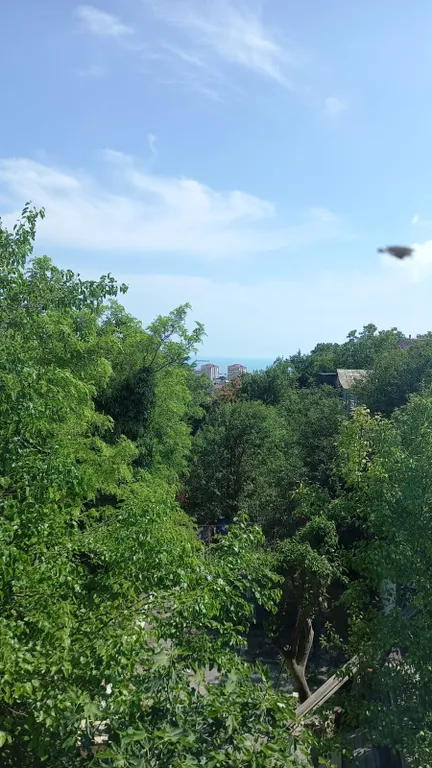 Уютная двухкомнатная квартира со своим двором