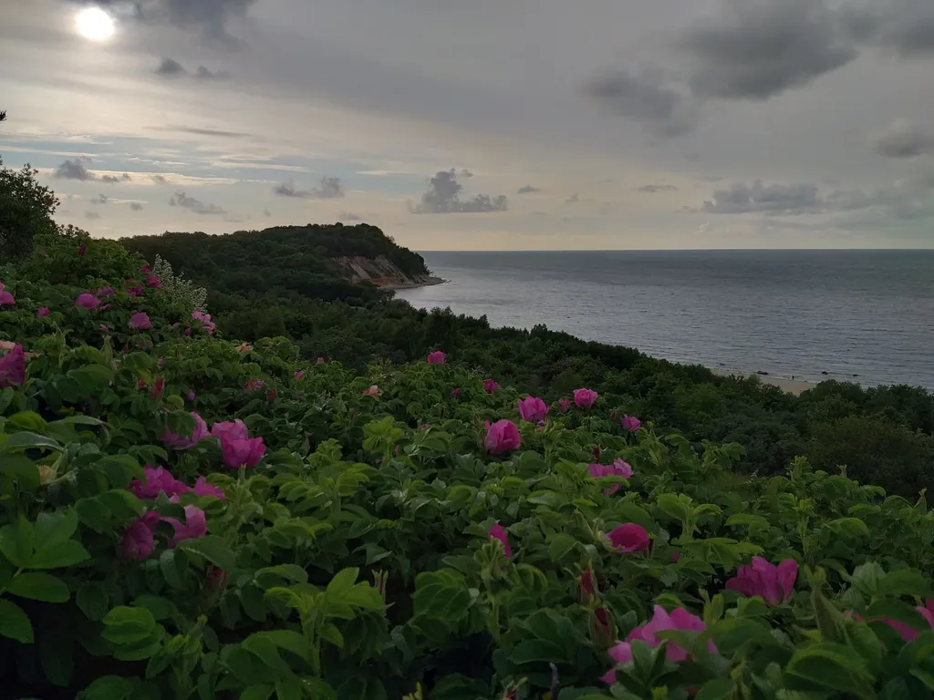 Квартира Двухкомнатная чудная квартира — Светлогорск