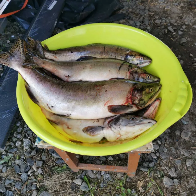 Отдых на Белом море