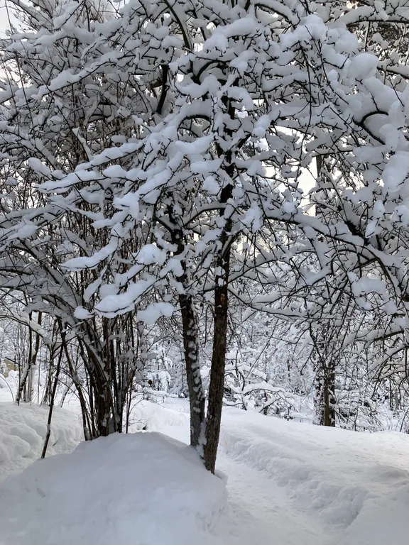 Уютный теплый дом в живописном месте