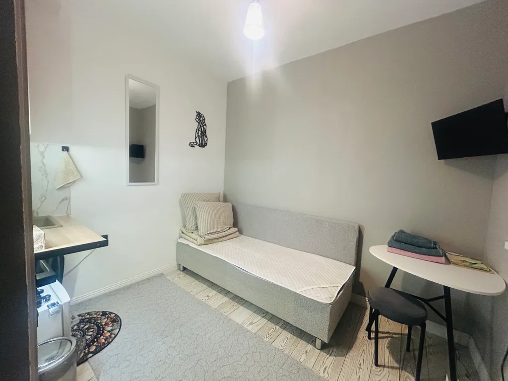 Квартира Студия у ДрамТеатра — аренда посуточно в Истра