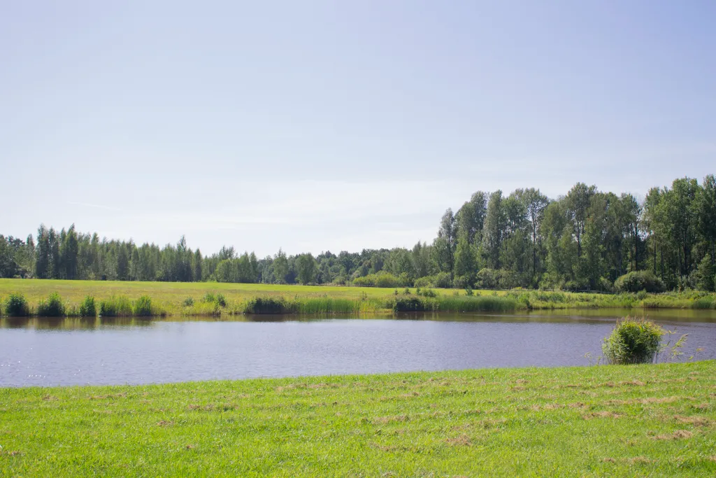 Дом с озером, река, лес