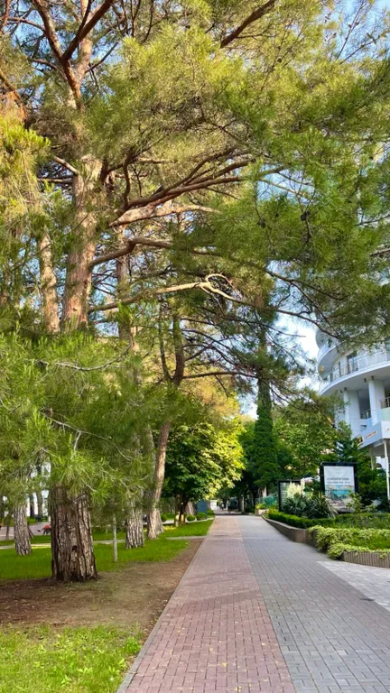 Квартира Квартира в ЖК Изумрудный город на берегу моря с бассейном — Геленджик