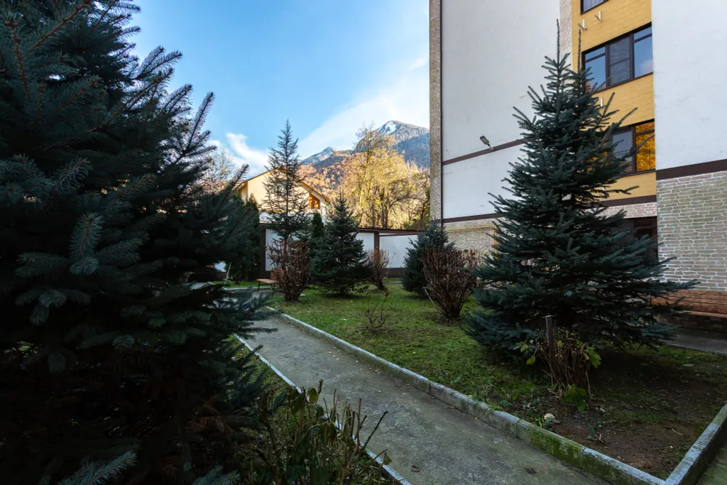 Уютная студия с видом на горы