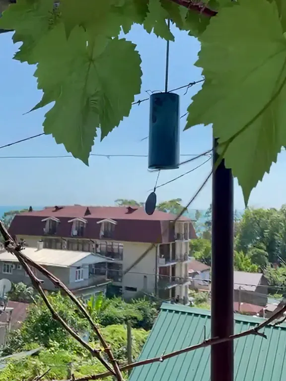 Приятный отдых В Гагре