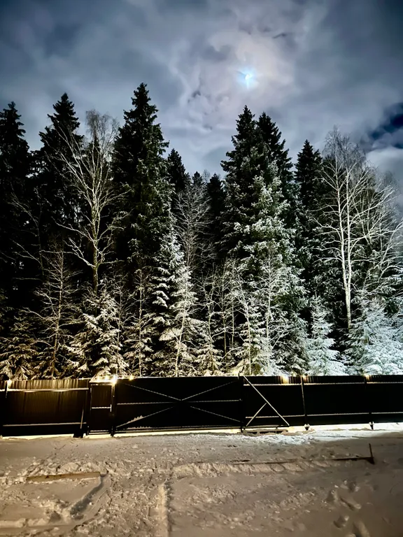 Коттедж Уютный дом в окружении леса — Лебяжье