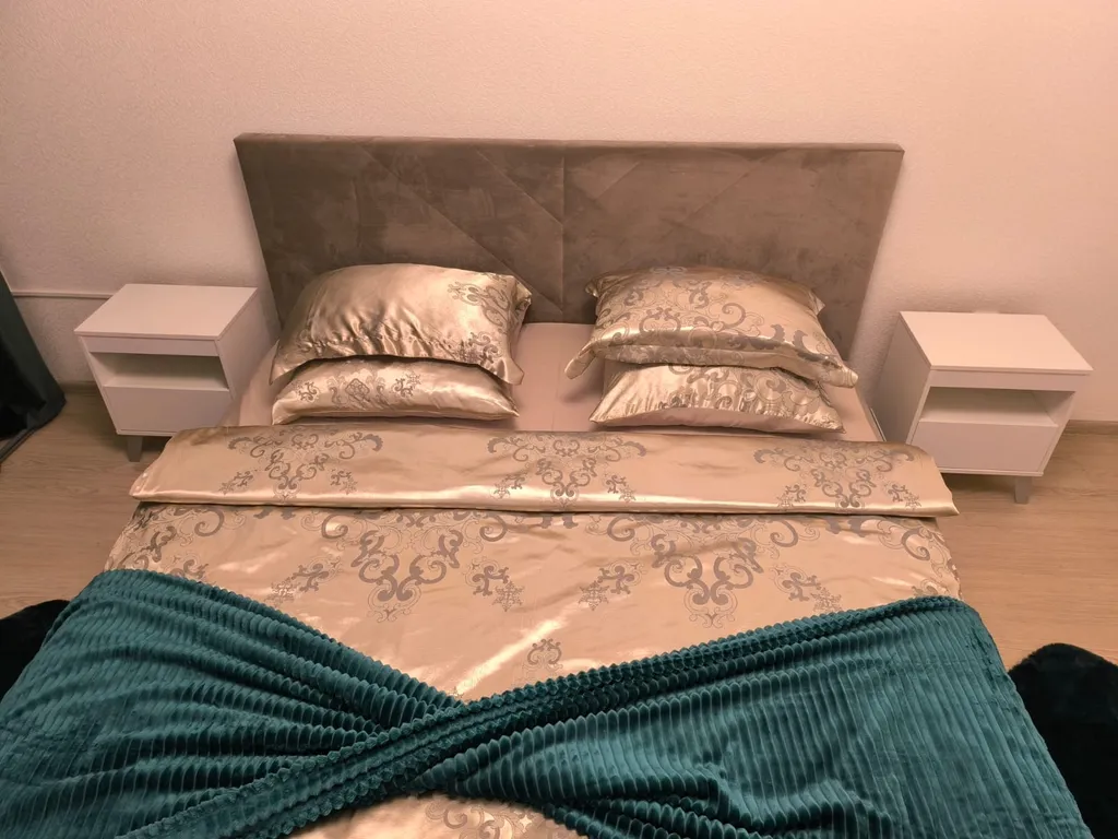 Двухкомнатные апартаменты Оливия Люкс на Плевицкой