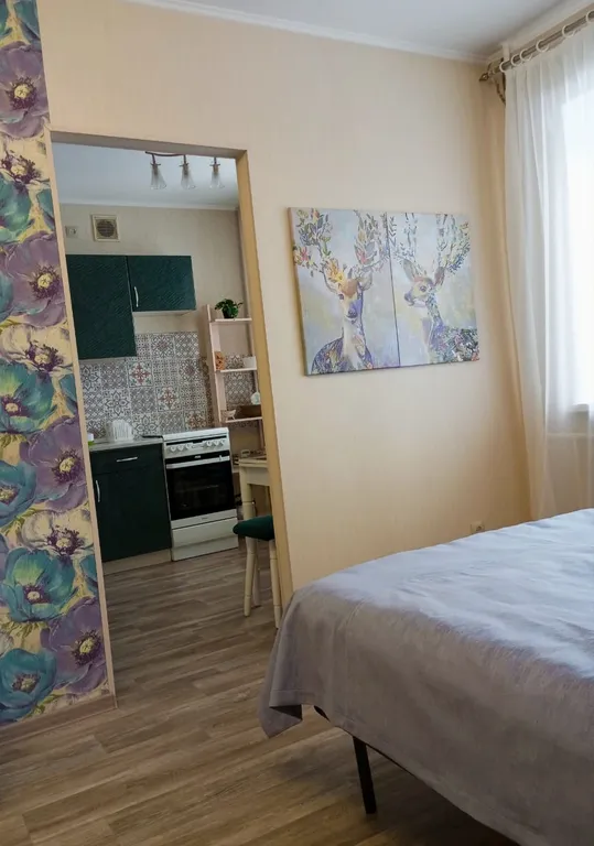 Комфортная квартиpа в цeнтрe города и cтуденчecкoй жизни