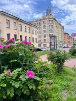 VitaSi