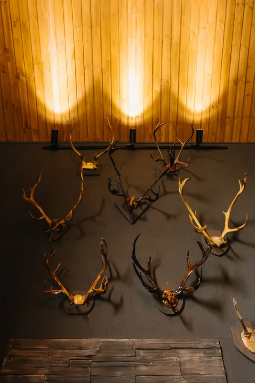 Берлога, самый роскошный дом в городе