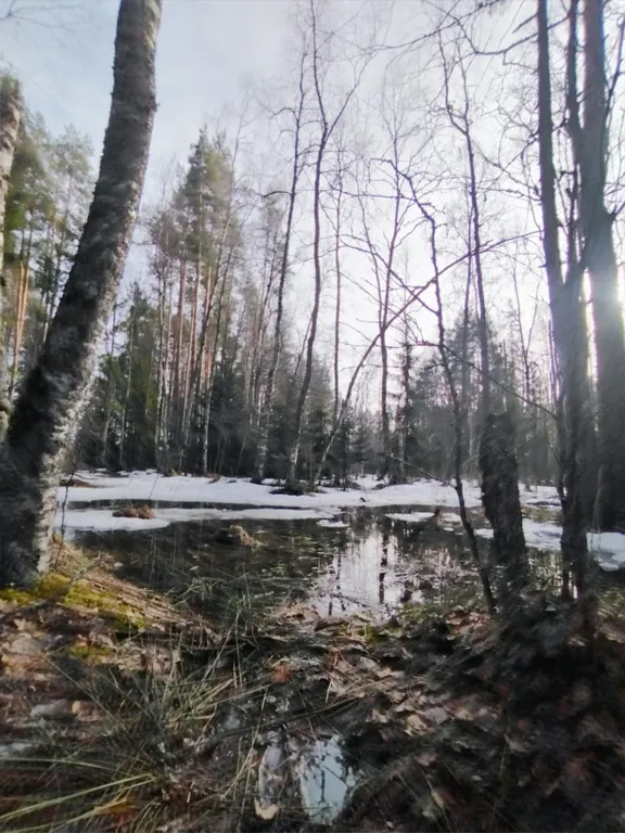 Агроусадьба Ивановых, старый хутор Тауно Туоми