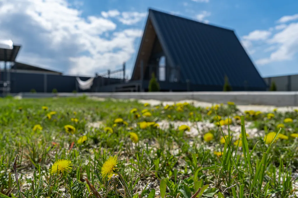 Уютное пространство для семейного отдыха