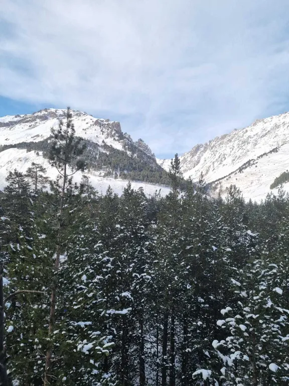 Уютная квартира в Терсколе с видом на горы