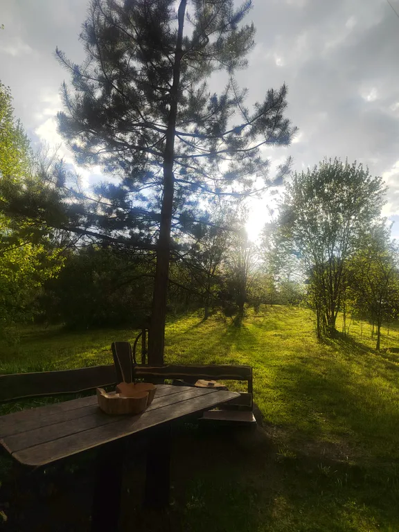 Усадьба седьмое небо банкетный зал до 16 человек с баней под полоцком