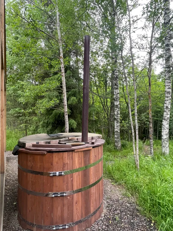 Уютный дом с купелью и камином Лесное Вдохновение