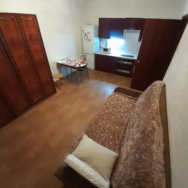 Однокомнатная квартира по типу евродвушки