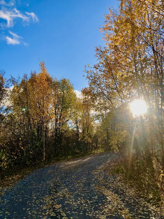 Уютная квартира в лесном посёлке в 64 километрах от Мурманска